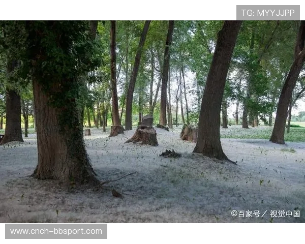 游戏中树木生长缓慢的原因解析及优化策略探讨